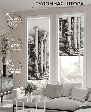 Рулонная штора «Нертонс - 46 - ширина 68 см» | фото
