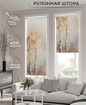 Рулонная штора «Нертонс - 60 - ширина 68 см» | фото