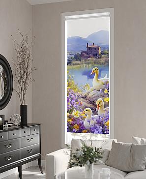 Рулонная штора «Нертонс - 165 - ширина 68 см»