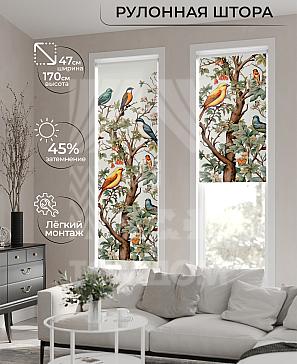 Рулонная штора «Ранфрик - 552 - ширина 47 см» | фото