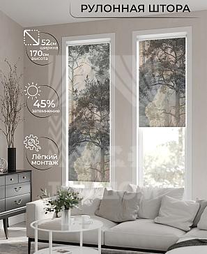 Рулонная штора «Лимкис - 569 - ширина 52 см» | фото