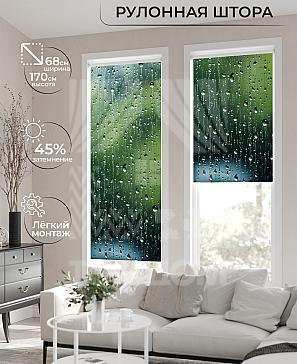 Рулонная штора «Лирикас - 567 - ширина 68 см» | фото