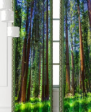 Комплект штор «Фриости - 02 - 240 см» | фото 3