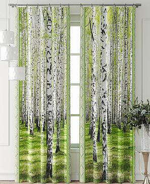 Комплект штор «Фриости - 25 - 240 см»