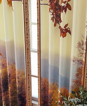 Комплект штор «Фриости - 48 - 240 см»