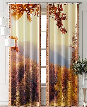 Комплект штор «Фриости - 48 - 240 см»