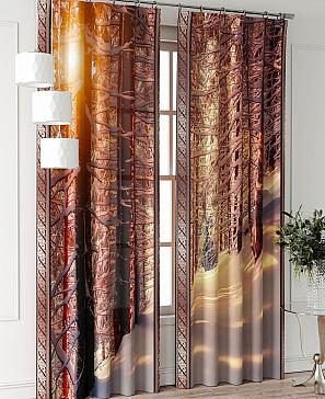 Комплект штор «Фриости - 49 - 240 см» | фото 2