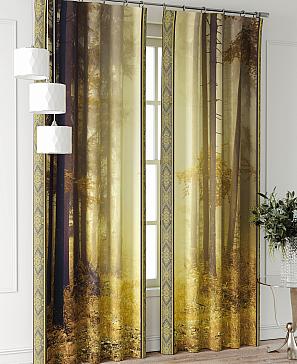 Комплект штор «Фриости - 60 - 240 см» | фото 2