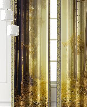 Комплект штор «Фриости - 60 - 240 см» | фото 3