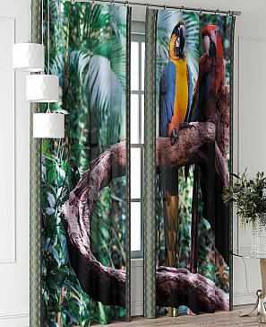 Комплект штор «Фриости - 62 - 240 см» | фото 2