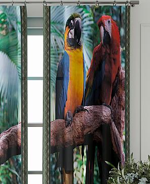 Комплект штор «Фриости - 62 - 240 см»