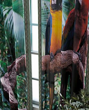 Комплект штор «Фриости - 62 - 240 см»