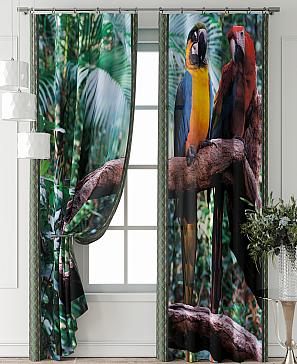 Комплект штор «Фриости - 62 - 240 см»