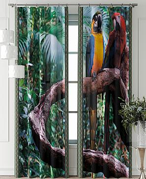 Комплект штор «Фриости - 62 - 240 см»