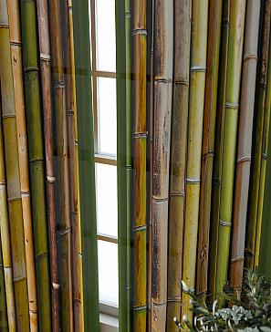 Комплект штор «Фриости - 73 - 240 см»