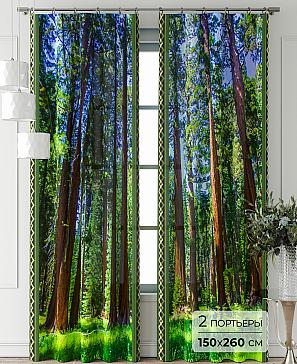 Комплект штор «Фриости - 02 - 260 см» | фото