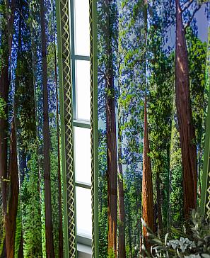 Комплект штор «Фриости - 02 - 260 см»