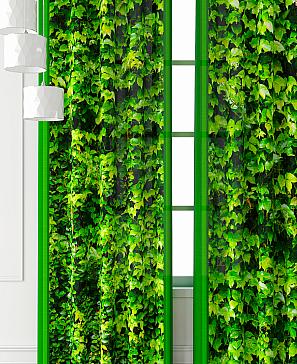 Комплект штор «Фриости - 24 - 260 см» | фото 3