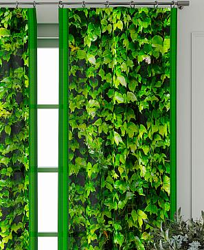 Комплект штор «Фриости - 24 - 260 см»