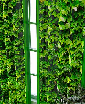 Комплект штор «Фриости - 24 - 260 см»