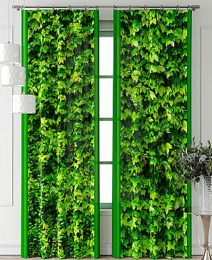 Комплект штор «Фриости - 24 - 260 см»