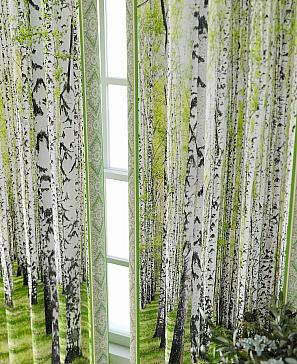 Комплект штор «Фриости - 25 - 260 см»