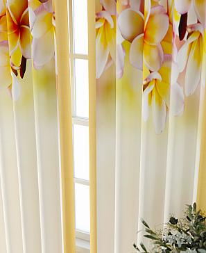 Комплект штор «Фриости - 32 - 260 см»