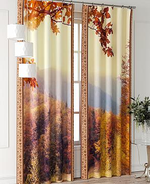 Комплект штор «Фриости - 48 - 260 см» | фото 2