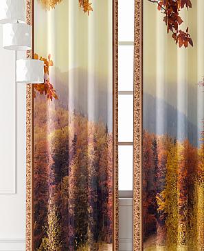 Комплект штор «Фриости - 48 - 260 см» | фото 3