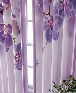 Комплект штор «Фриости - 55 - 260 см»