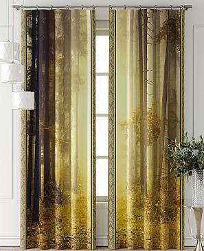 Комплект штор «Фриости - 60 - 260 см»