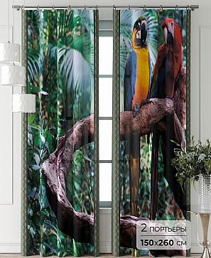 Комплект штор «Фриости - 62 - 260 см» | фото