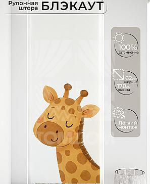 Рулонная штора «Малинет - 86 - ширина 62 см» | фото