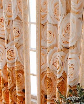 Комплект штор «Форнерс - 500 - 240 см»