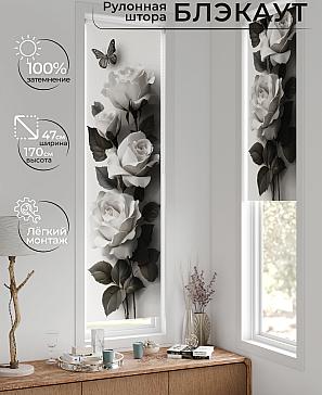 Рулонная штора «Анзара - 630 - 47см» | фото