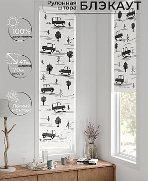 Рулонная штора «Анзара - 647 - 47см» | фото