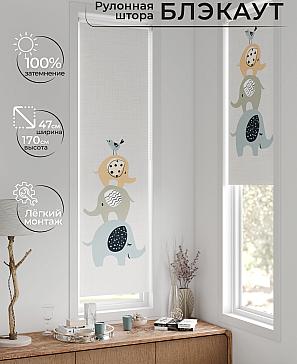 Рулонная штора «Анзара - 648 - 47см» | фото