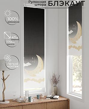 Рулонная штора «Анзара - 651 - 47см» | фото