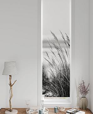 Рулонная штора «Ланетрикс - 641 - 52 см» | фото 3