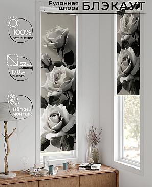 Рулонная штора «Ланетрикс - 644 - 52 см» | фото