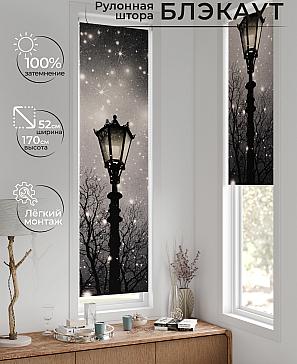 Рулонная штора «Ланетрикс - 655 - 52 см» | фото