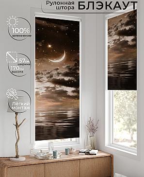 Рулонная штора «Лирстик - 604 - 57 см» | фото