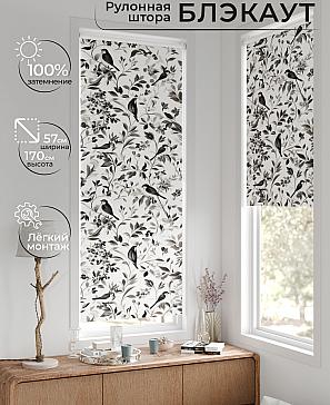 Рулонная штора «Лирстик - 642 - 57 см» | фото