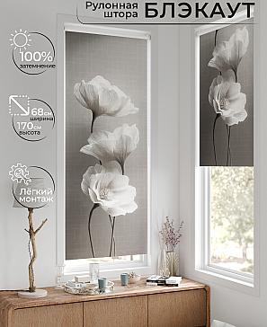 Рулонная штора «Рилварт - 636 - 68 см» | фото