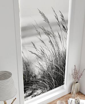 Рулонная штора «Рилварт - 641 - 68 см»