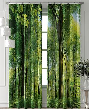 Комплект штор «Колтери - 143 - 240 см» | фото 2