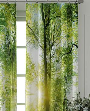 Комплект штор «Колтери - 144 - 240 см»