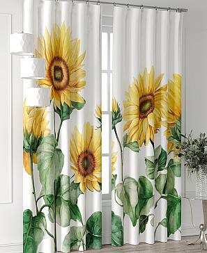 Комплект штор «Колтери - 152 - 240 см»