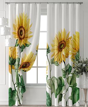 Комплект штор «Колтери - 152 - 240 см»