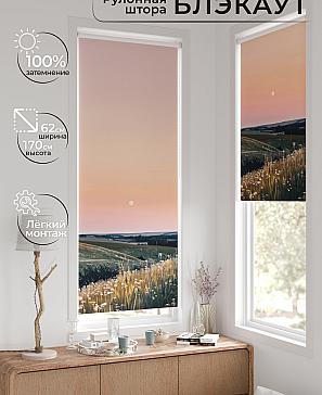 Рулонная штора «Фиреда - 225 - ширина 62 см» | фото 2